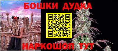 стаф Лесосибирск
