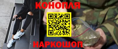 стаф Лесосибирск