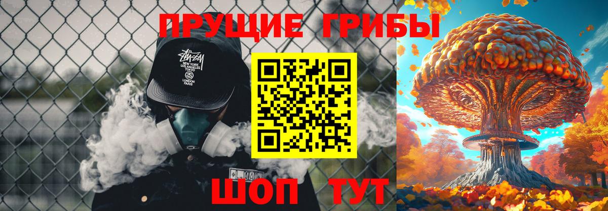 Галлюциногенные грибы мухоморы  Вход с VPN  Тольятти  где купить наркоту  Псилоцибиновые грибы MAGIC MUSHROOMS 
